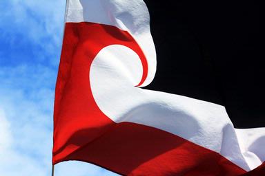 francesca gallo; flag; waitangi day