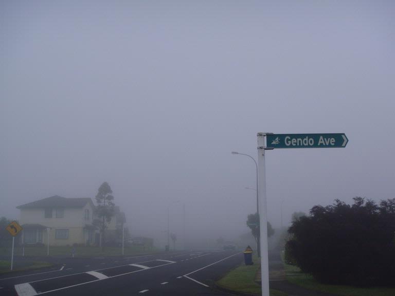 Foggy morning on Summerland drive - Henderson, Auckland