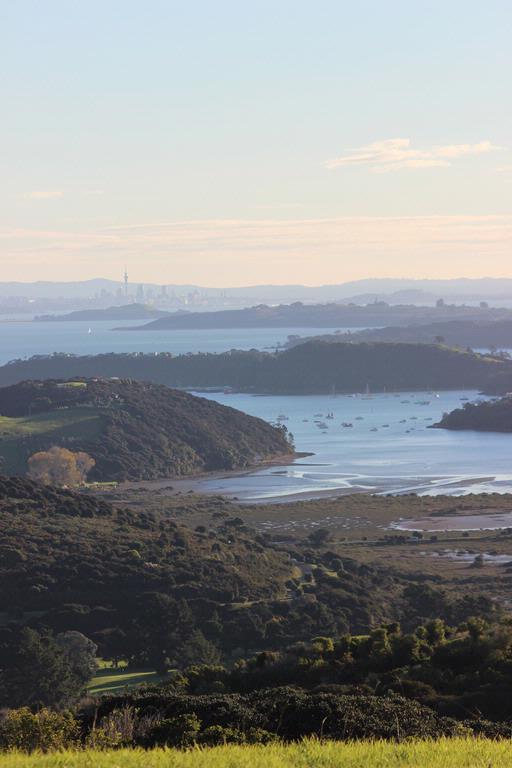 Leigh Burrell;From Waiheke to the city;Hilltop view