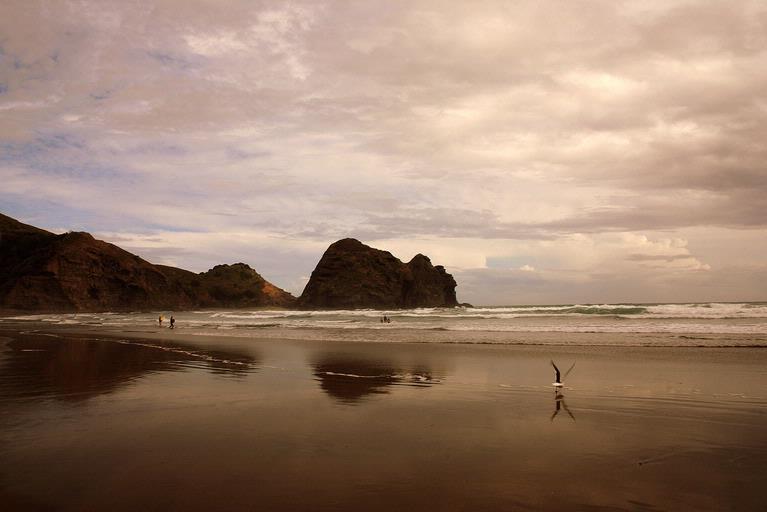 Piha beach