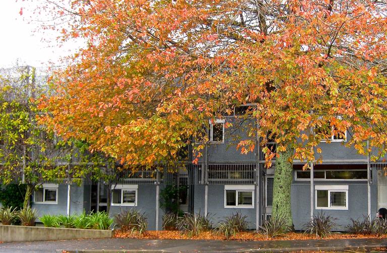 JERRY ZINN; AUT CAMPUS; AUTUMN COLOURS.