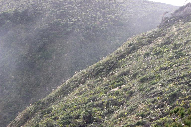 Leigh Burrell;Windy slopes;Whites Beach