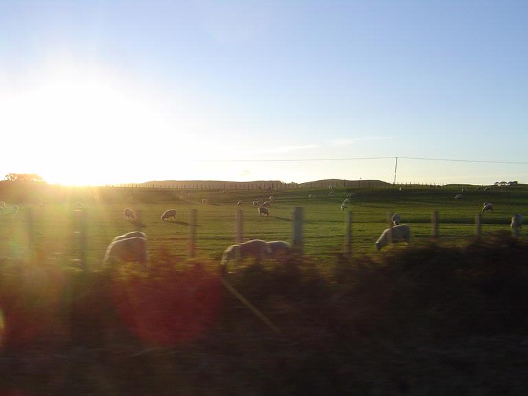 Maggie Hsiao Mei Chen;On the way;Sunset, from Muriwai to Auckland CBD