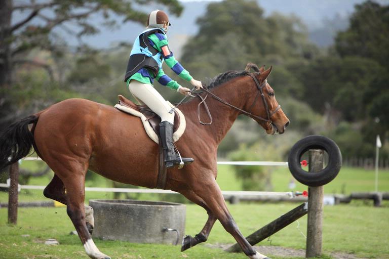 carolyn; Apply Brakes Now; Henderson Valley Pony Club ODE cross country