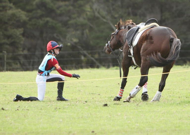 Carolyn; AfterTheFall; This horse's feet slipped out from under it sending the rider and the horse flying across the ground   they both got up and were fine. At Henderson Pony Club ODE