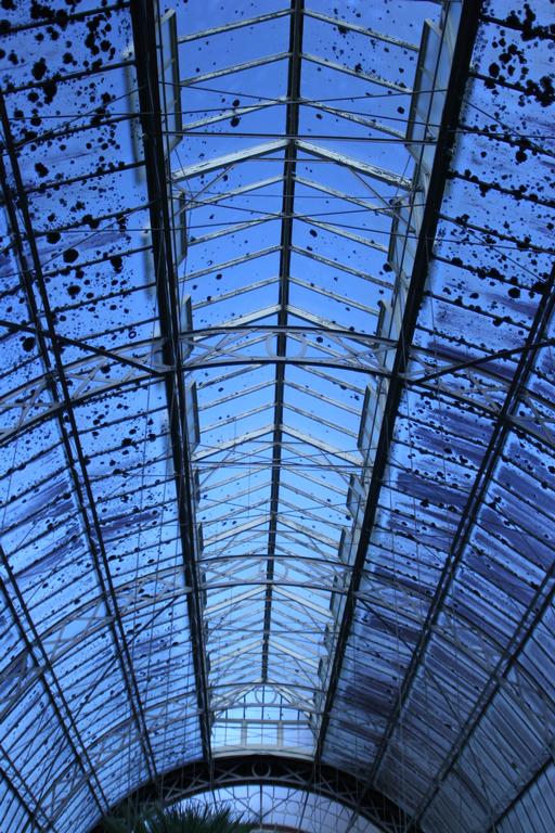 Aaron Kang; Sky and glass ceiling; Auckland Domain Wintergardens