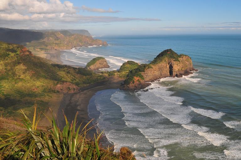 Ed Adam; The West is the Best; Bethells Beach