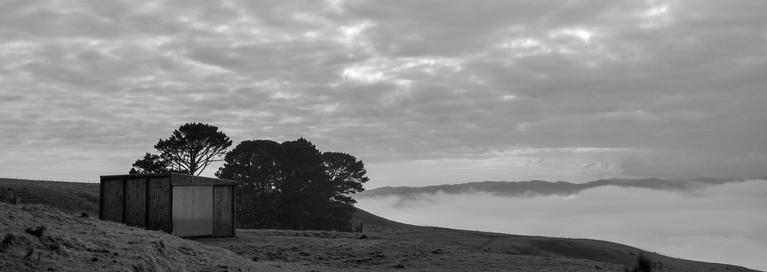 Toni Webster  Young; Above the clouds; Taken in the Kaipara Hills