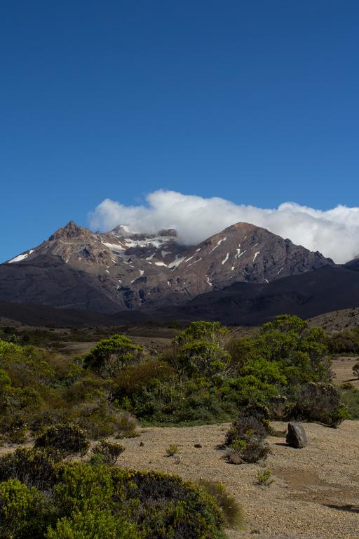 Amanda Kelso; He Stands Tall. He Stands Strong; Mount Ruapehu is a very sacred and spiritual place to not only the people of Ngati Rangi but a lot of the Maori descendants of New Zealand.  I have always had an understanding of this, but have never encounter a powerful awakening as such.