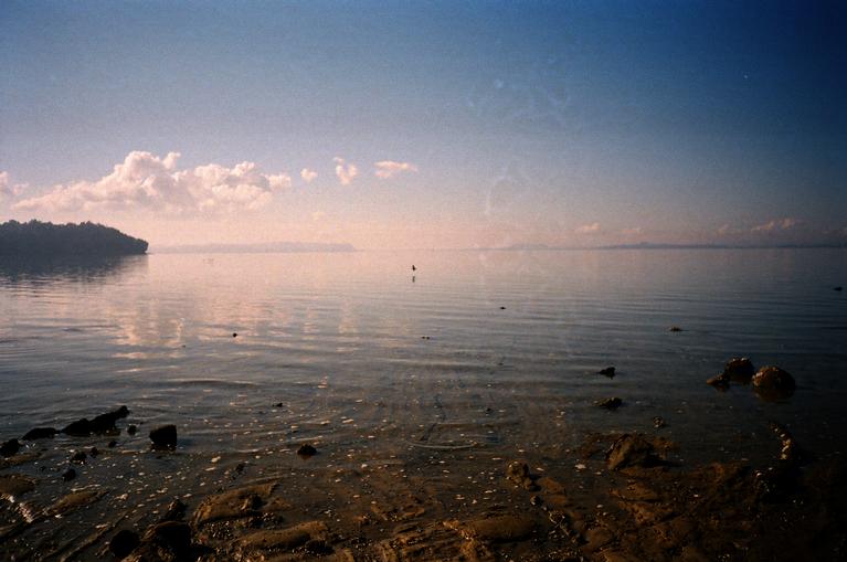  35mm film photograph shot at Herring Cove with amateur film camera and kodak colour plus film