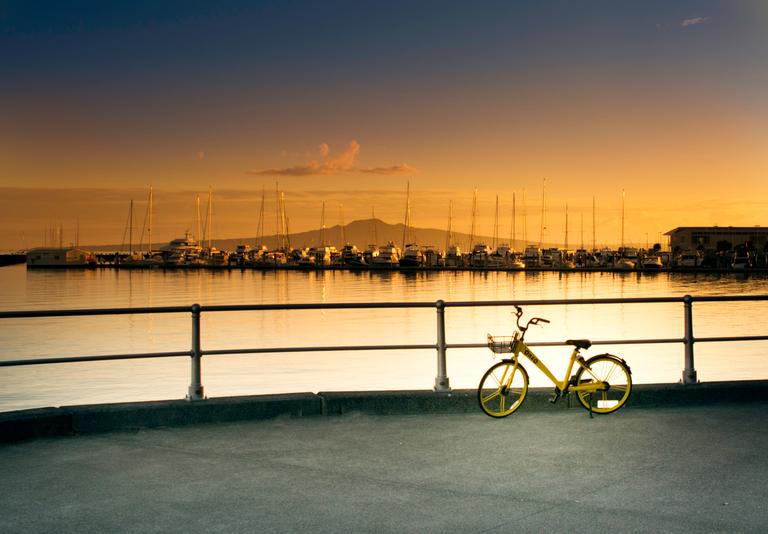  I saw the Onzo Bike looking kind of cute against the early morning view of the marina and Rangitoto