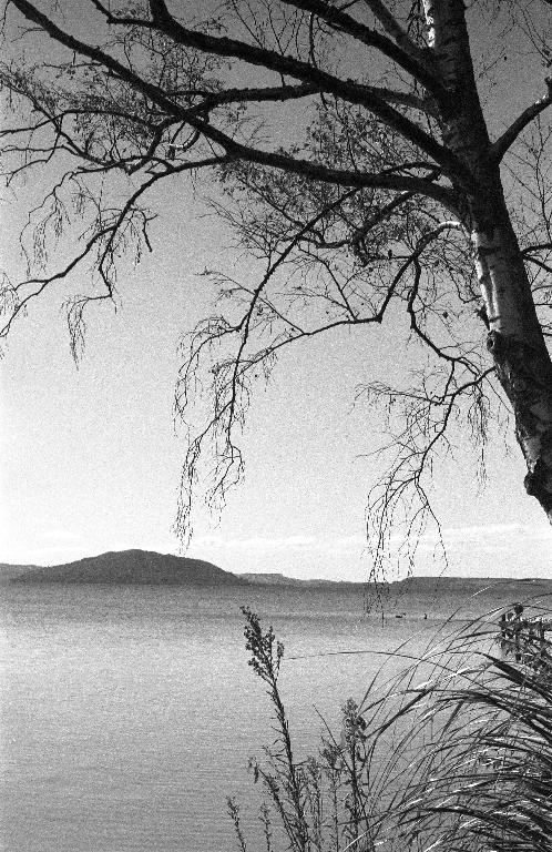Tegan Allpress;Hinemoa and Tutanakei's Escape;Mokoia Island, Rotorua. 35mm black and white film.