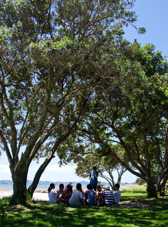 zhengxing Huang; Fellowship; showing a chill environment of a group of people, with unique framing and composition of picture, position of trees and space between trees and group of people on both sides reveals separate the background and foreground at same time it outstand the crowds showing they are having a good time. photo took at Omana Beach, Maraetai, Auckland, New Zealand, 19/01/2019.