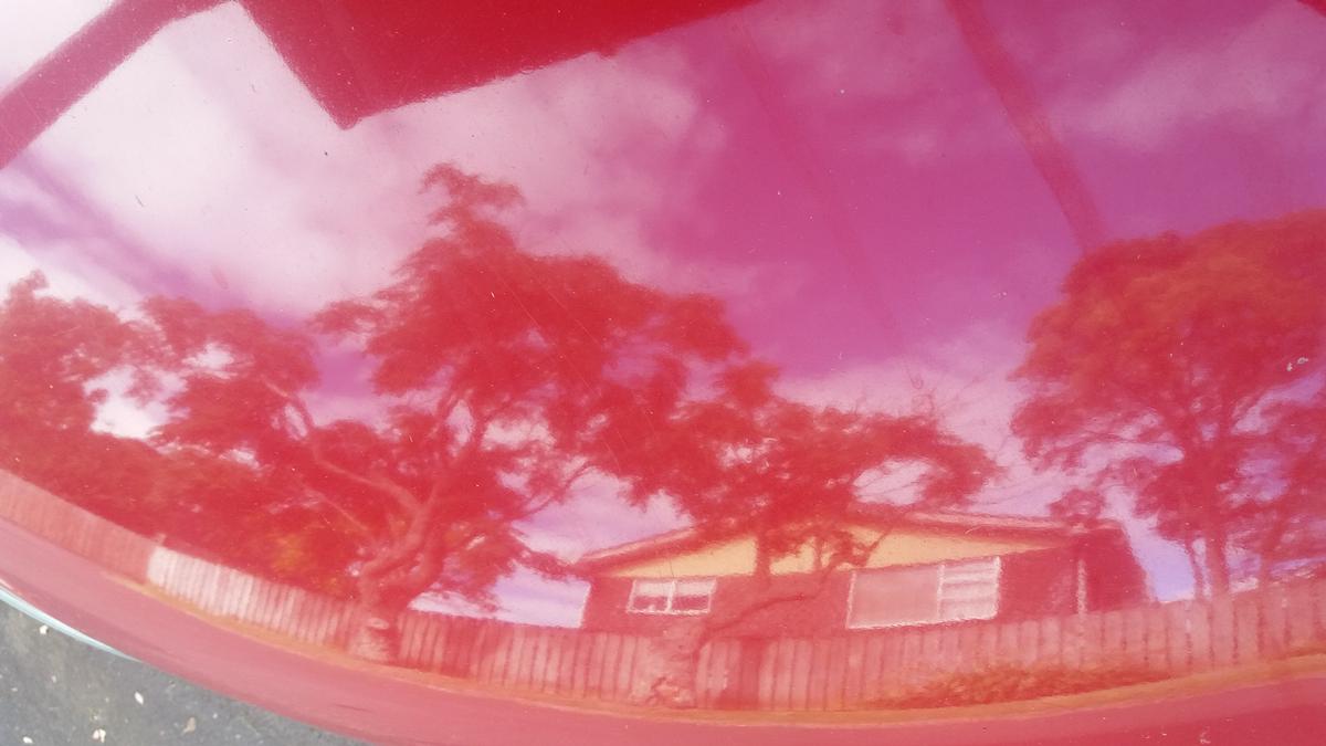 Aileen Robertson;Passing the time in lockdown;Reflection of the neighbours house and trees on the bonnet of my car