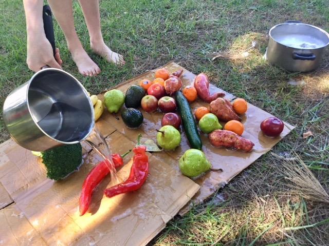 Fiona Kelly; The new way we wash our veges;Just finished washing all the fruit and veges in soapy water and then rinsing them off.