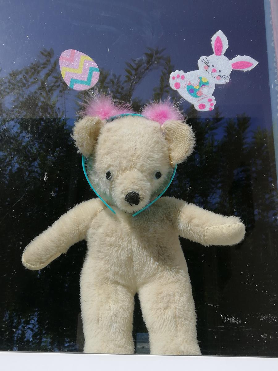 Lex Priestley; Dressed to Impress; Sixty year old Teddy plays the Bear Hunt game at Easter
