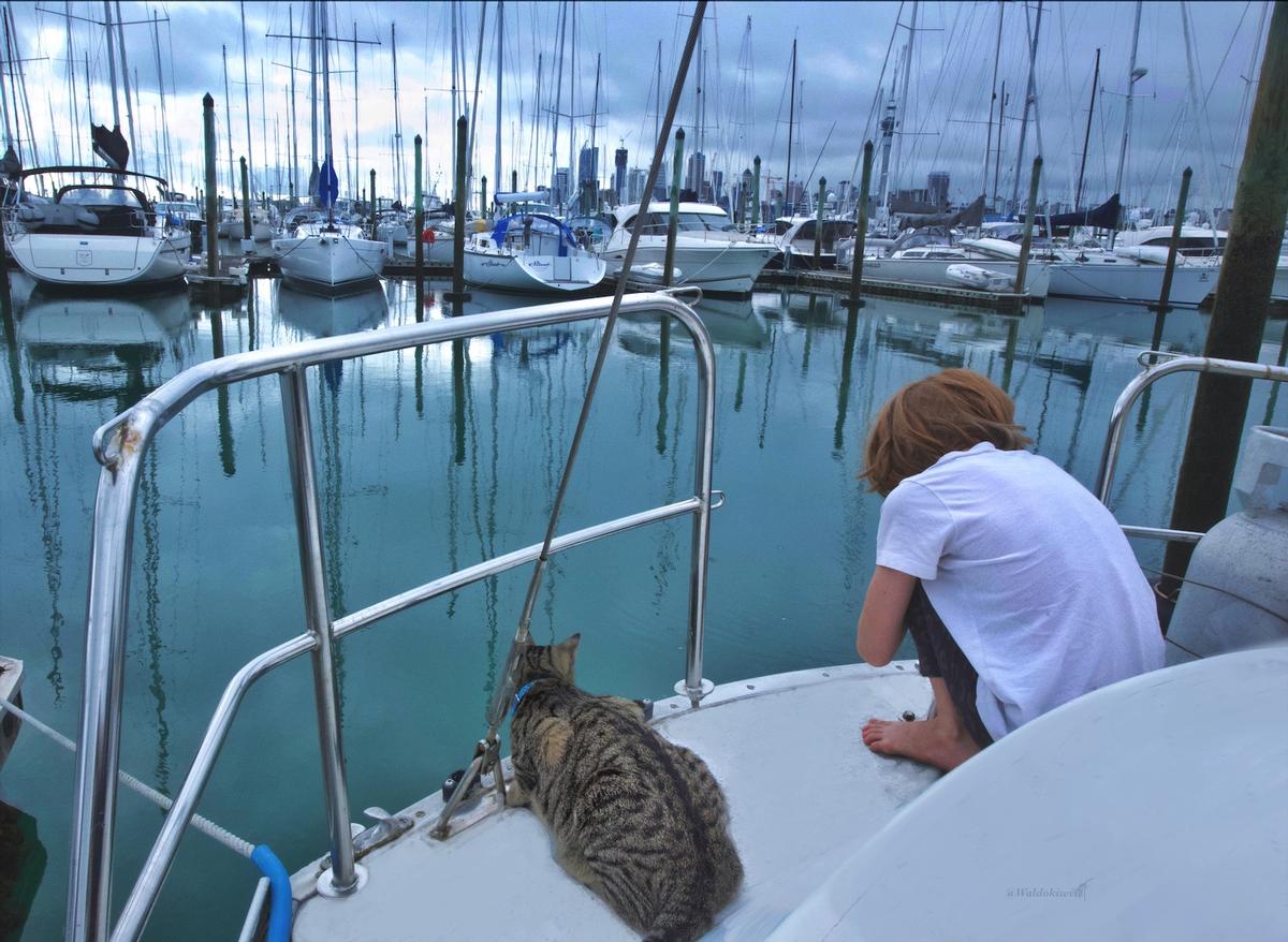 Manon Fleurentin; Puss in Boats; We’ve adopted a cat 8 month ago from SPCA, now he owns the Marina.