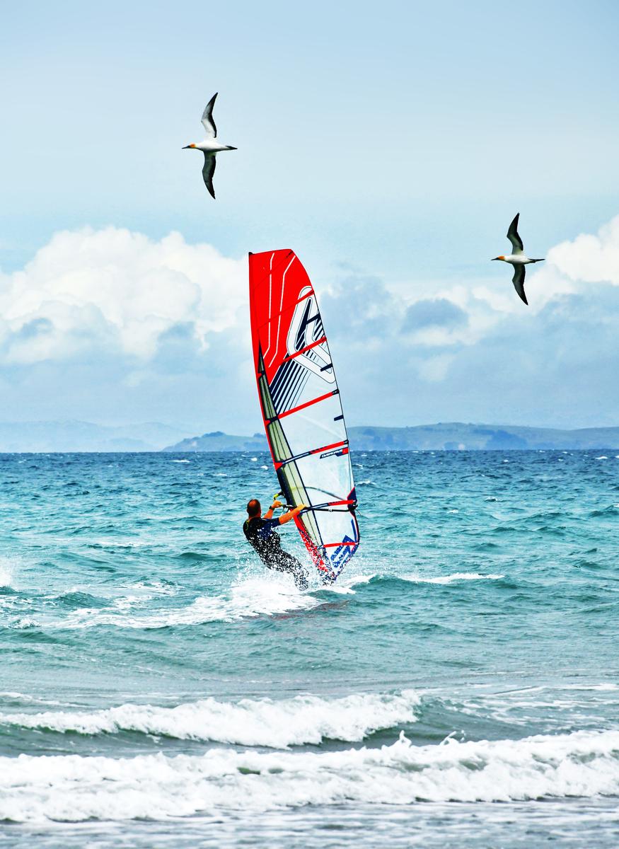 Alex Mao Photography Award 2020; Flying in the sea and blue sky; Shot in Auckland Long Beach, the moment accurate capture of seabird and sailboard walk into the picture at the same time.