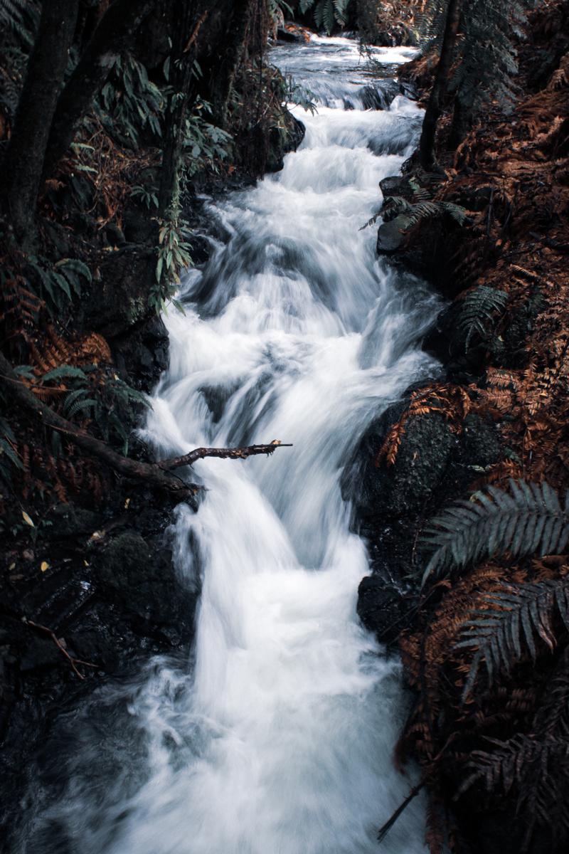 Aleesha Kaiyum;Waterfall