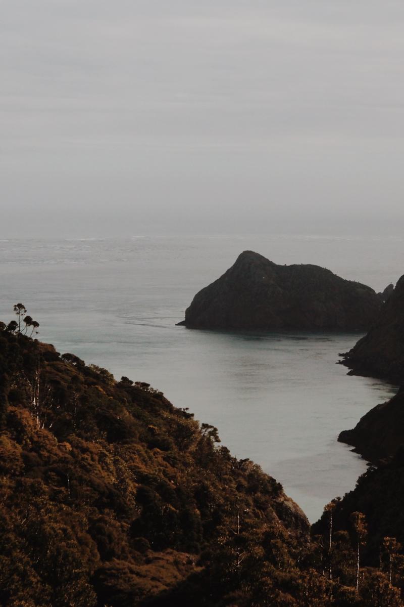 Clara Muller;Natural Colours of Waitākere;Mountains and bush framing a body of water