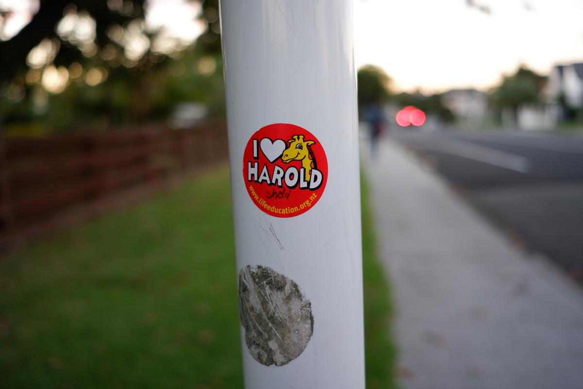 Elizabeth Pham;Stickied;I could imagine the kids receiving the sticker, holding it gingerly, and sticking it absentmindedly on the pole.