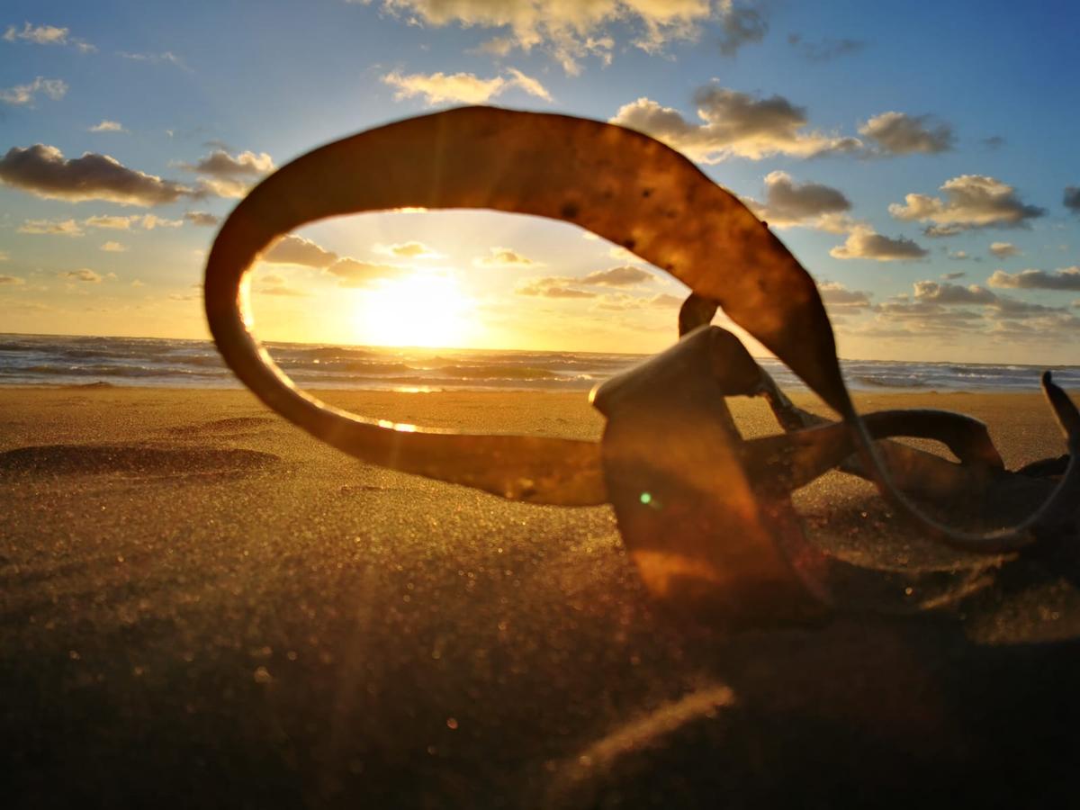 Marco nehme; Piha beach