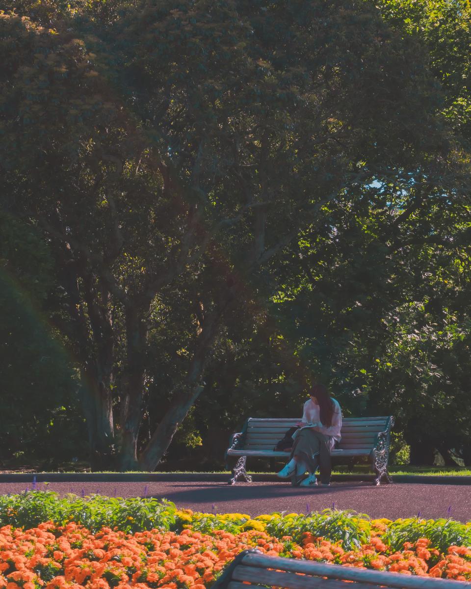 Nabeel Hassan; Studying with Rainbows; I personally associate studying with calm and contentment and rainbows with feelings of bliss, so for both of them to be present in my composition adds to the theme i was going for. I love the colours and the general mood of the photo. It makes studying look cool!