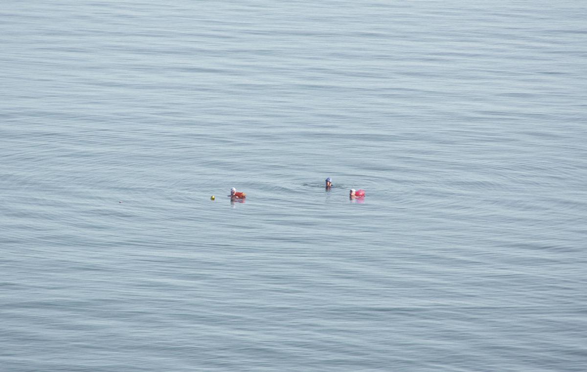 Zara Cornwell ; Morning swimmers; A group of swimmers taken as Saint Heliers beach Auckland.