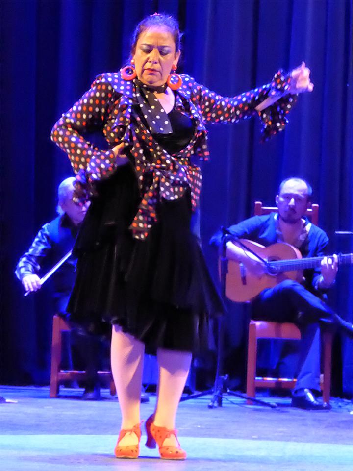 Anna Maria Bribiesca; Flamenco senora 2; Mexico
