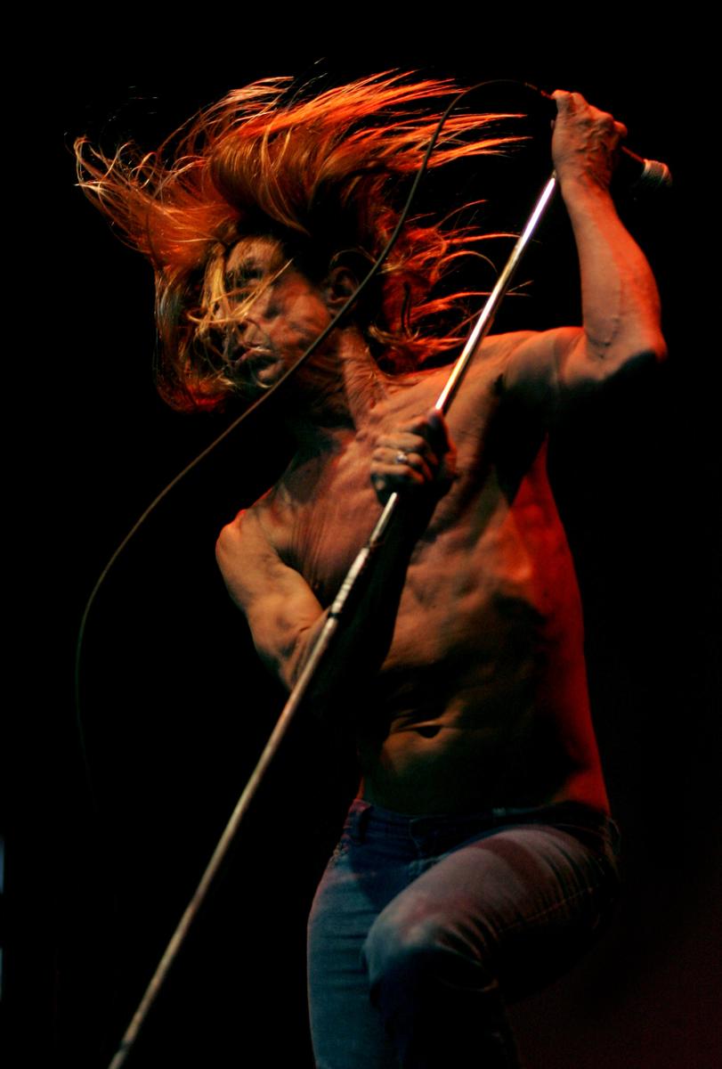 Craig Baxter; Iggy Pop Auckland 2006;Iggy Pop performs at The Big Day Out in Auckland January 2006