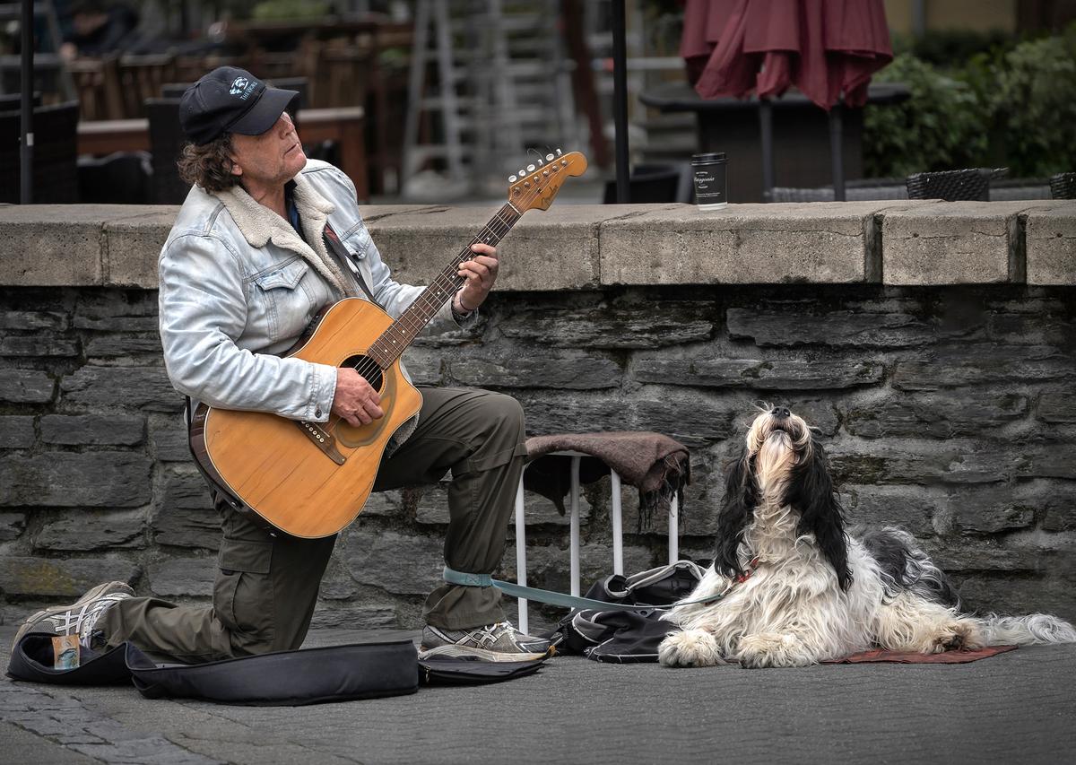 Jiongxin Peng; Perform Together; 07/11/2018, 9am, in Queenstown, New Zealand, a street performer performs with the dog in the street. When the sound of the piano sounds, the dog also sings with a voice, very interesting!