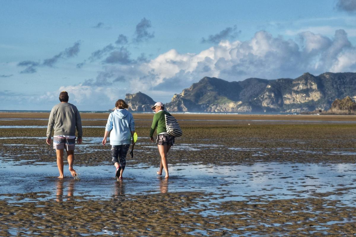 Emma Farmer;Collecting cockles, Okiwi   Great Barrier Island