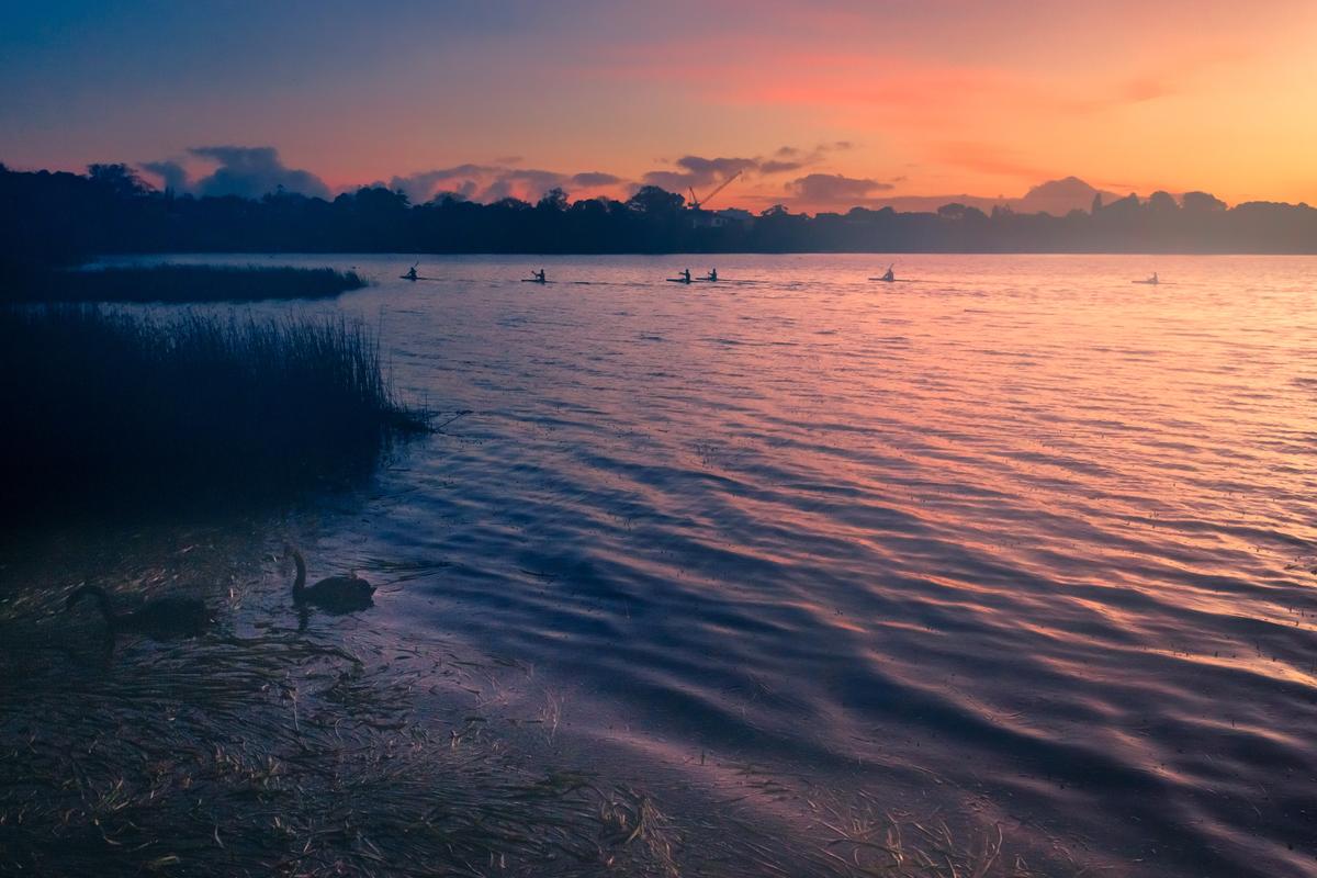 Hong Jiang;Dawn kayak swan lake