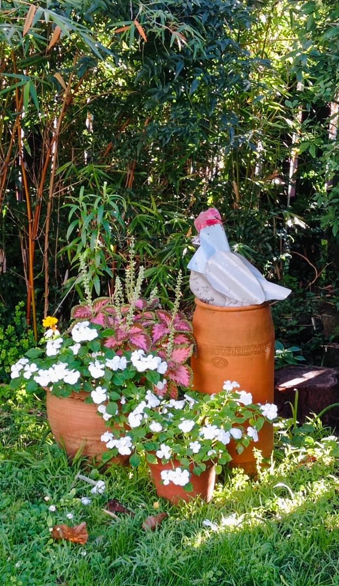Lorna Affleck;In the Garden