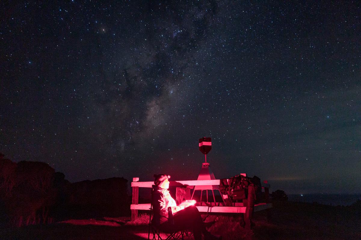 Rene Burton;Kiwi monitoring te taiao kaitiaki starscape