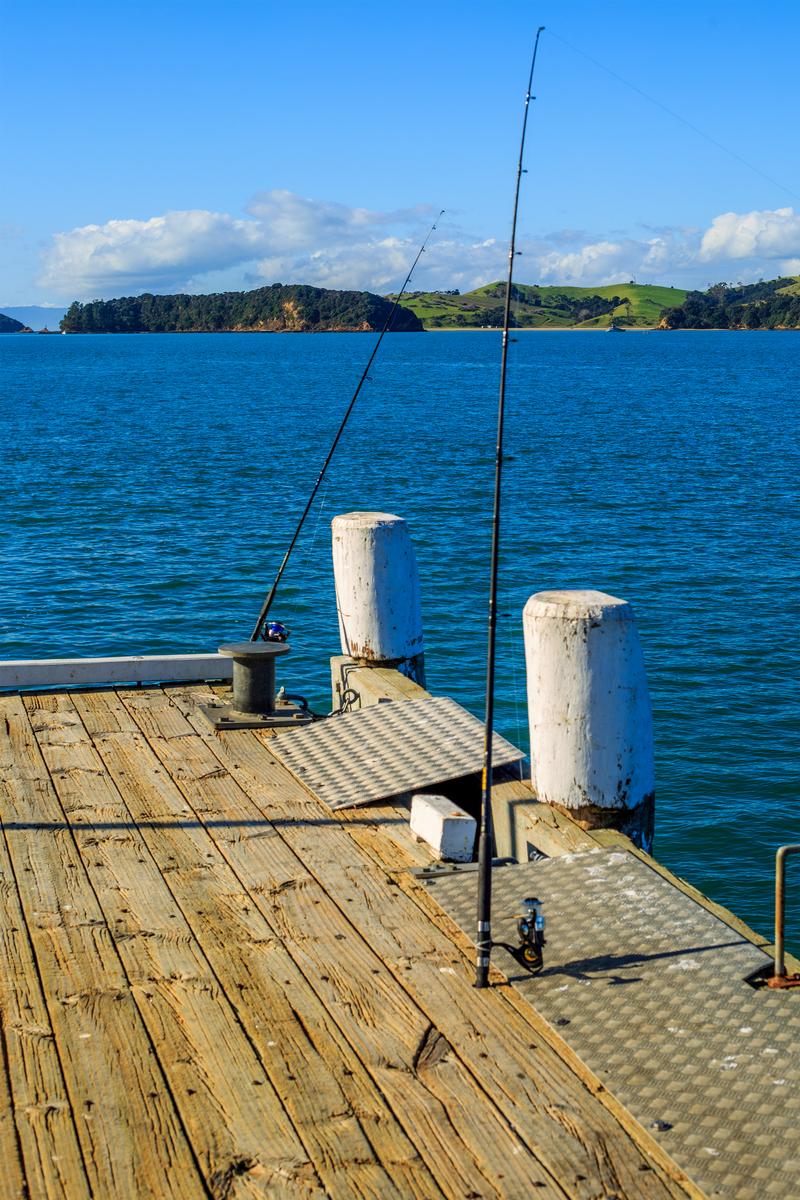 Sam Shirley;Fishing rods
