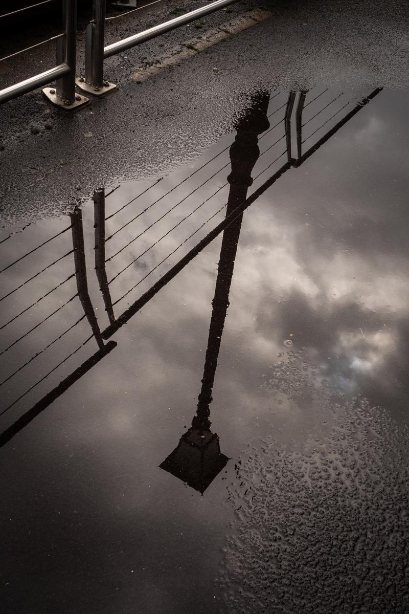 Andrew Malmo; Reflection of lamp, Queen's Wharf;I love taking photos of reflections in puddles.