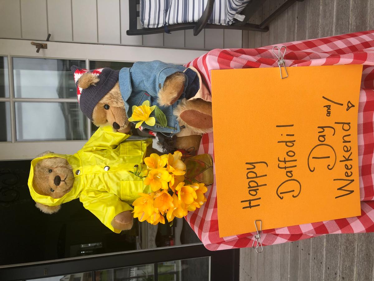 Carolyn  Stewart;Bears celebrating daffodil day