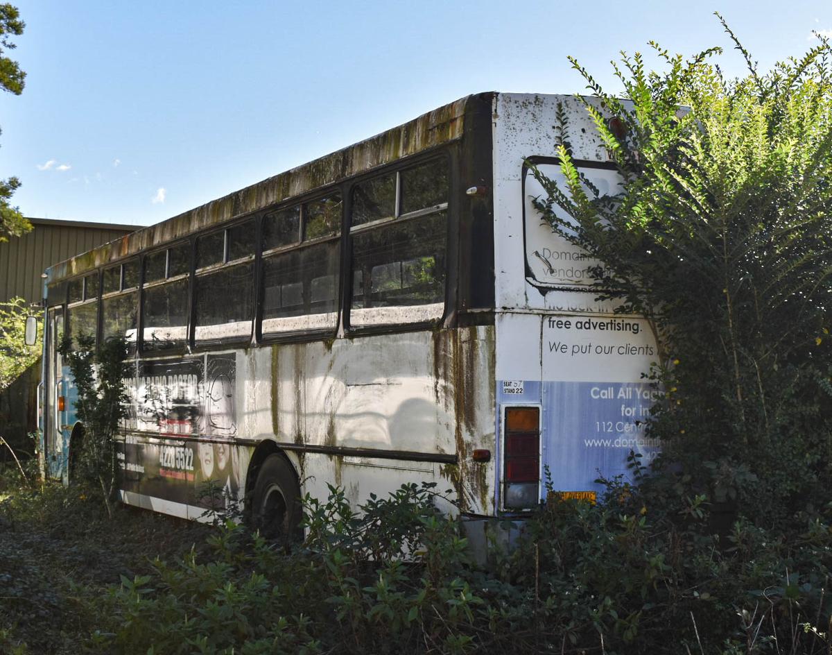 Hannah Dunk; Left for Dead; This photo of this abandoned bus explores my idea of thing being left behind by humanity. Even with a sad topic, I try to make the object seem alive more than dead and abandoned. I want to paint a story behind each object I find in nature.