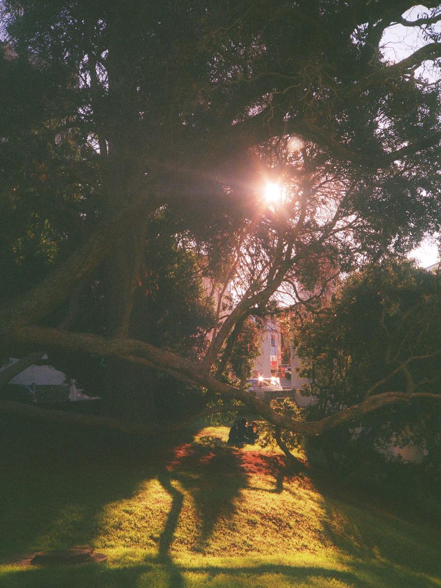 Nabeel Hassan; I captured this photograph with my Canon Autoboy 2 using Fujifilm C200. I really love the overall composition and warmth that the image brings. Being able to capture the sun going through the trees and then providing light to those having a picnic under the tree created a beautiful image waiting to be captured.
