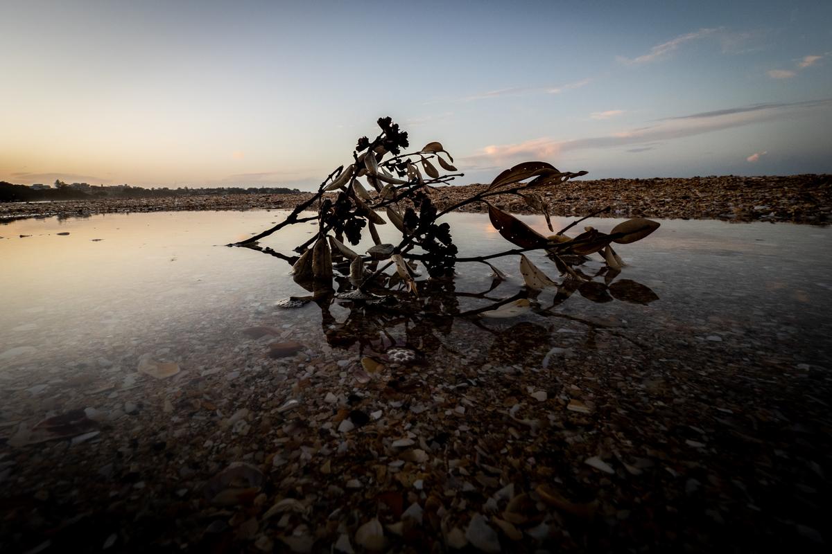 Andrew Malmo;Takapuna Beach Reflection