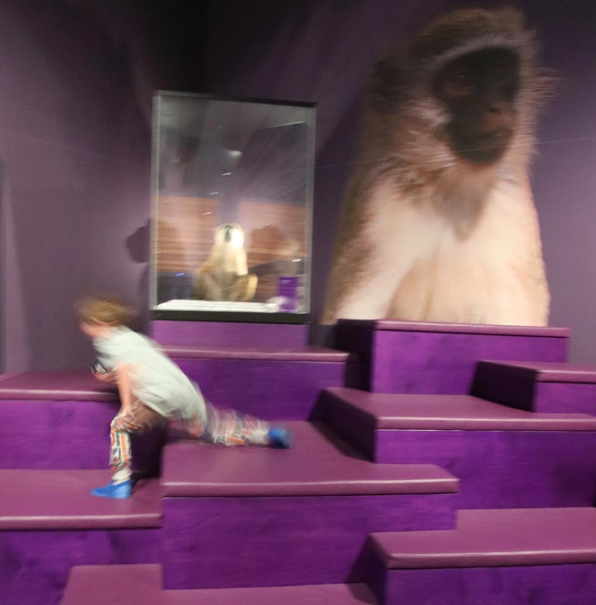 Cheryl Braithwaite Smith;Monkeying around at the museum.