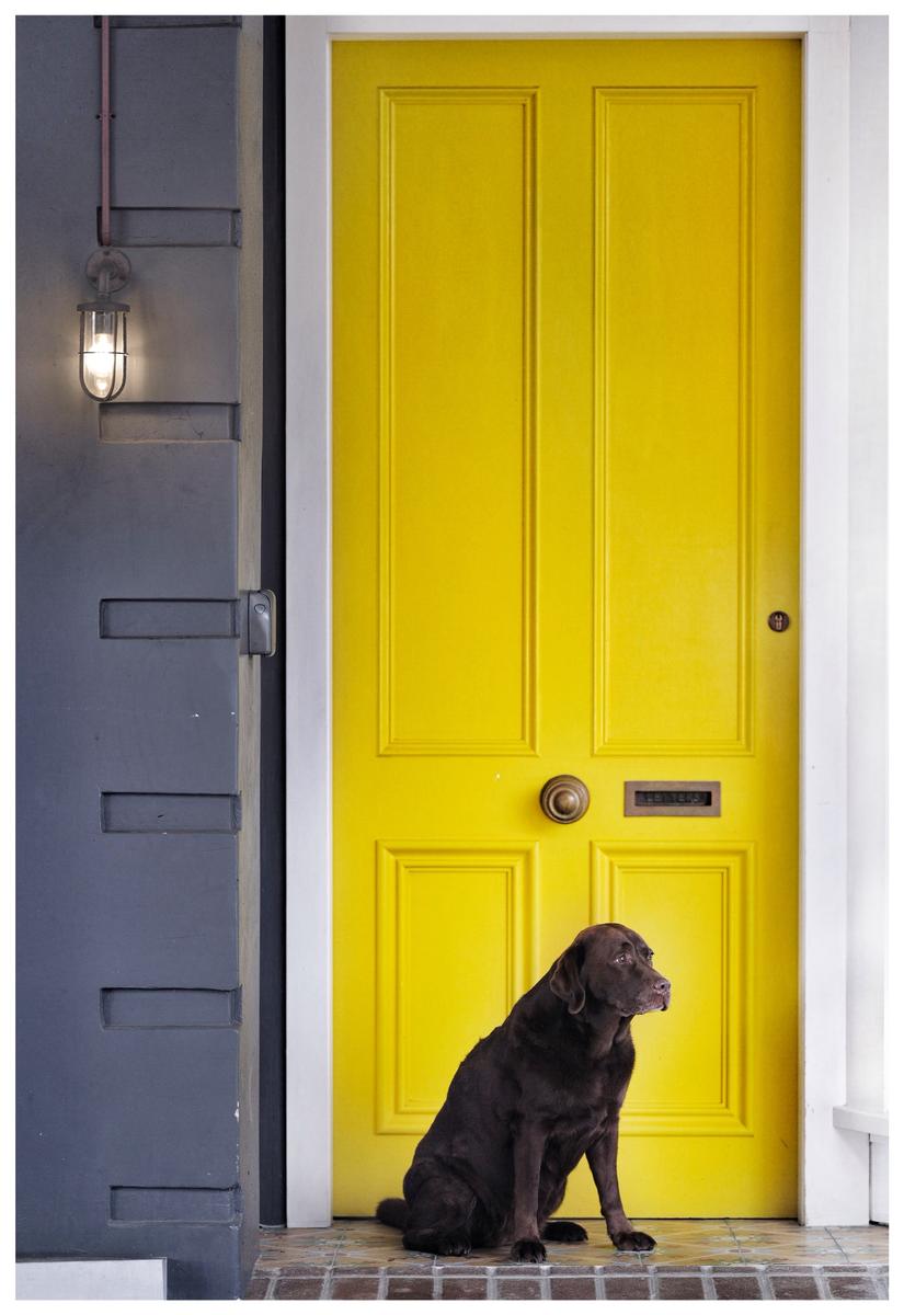 Craig Rogers;Yellow Door