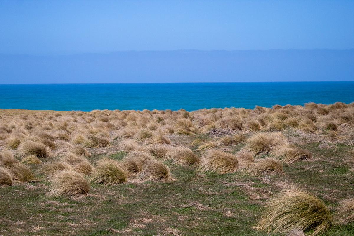 Reanna Hinds;Isolation ;This photo was taken at the very end of the south island, where the land meets the sea,  looking out into the wide open ocean that surrounds New Zealand, giving the photo a feel of remoteness and isolation.