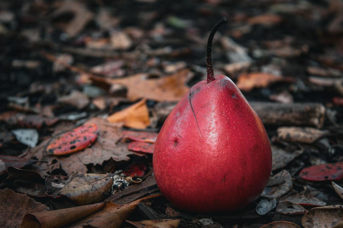 Reanna Hinds;Imperfection;I enjoyed taking photos of the essence of autumn and capturing this pear with all its imperfections. I love how the red in the pear matches the red in the autumn leaves in the background.