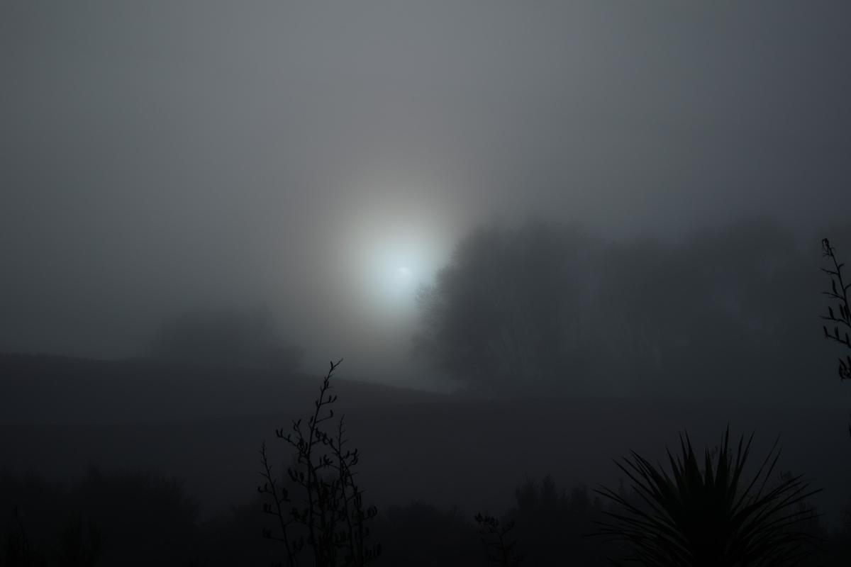 Shafeek Allie;Fog;early morning light