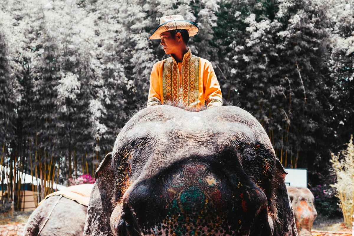 Weitong Li;Land Guardian;As the home of China's ethnic minorities, Kunming has a rich and diverse culture. Elephant trainer is like the guardians of the elephant. And the elephant is like this colourful land.