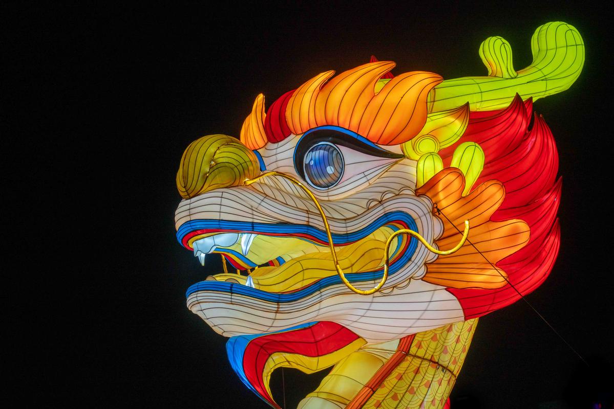 Cameron Young;Year of the Dragon;Welcome Back Auckland Lantern Festival