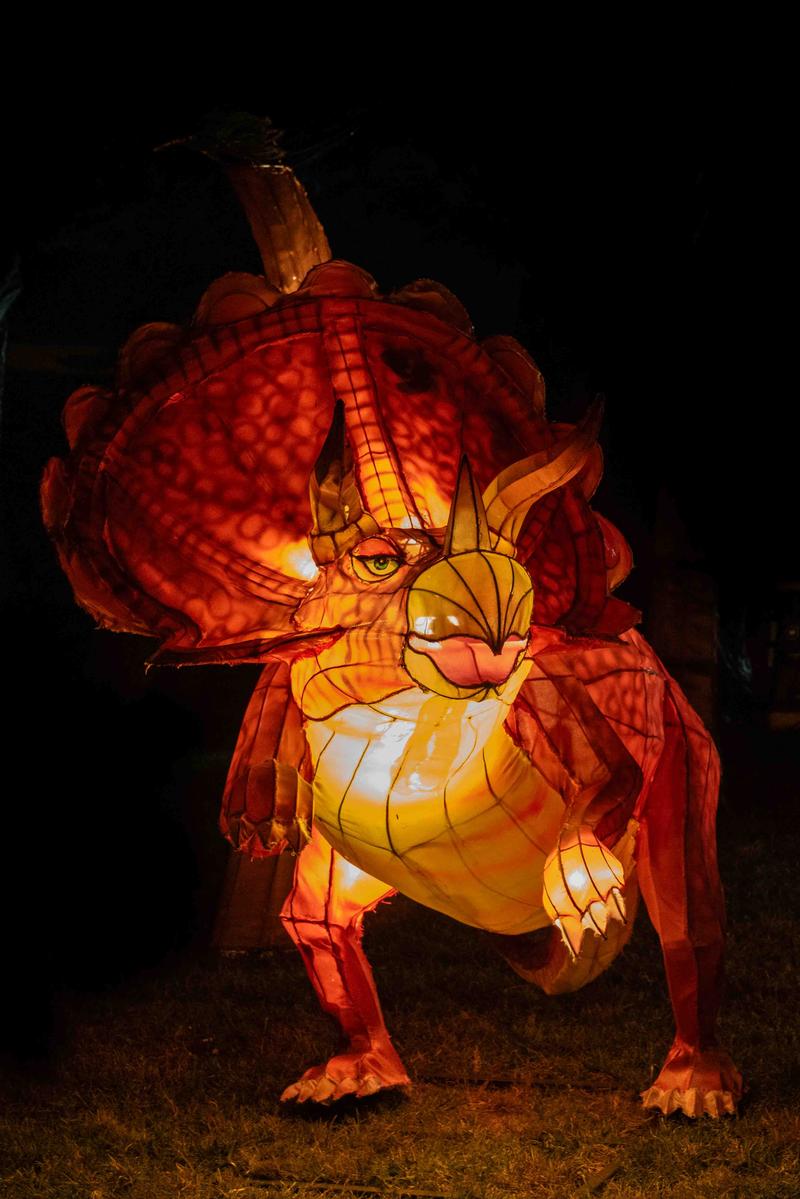 Cameron Young;Guest at Year of the Dragon;All are welcome at the Auckland Lantern Festival