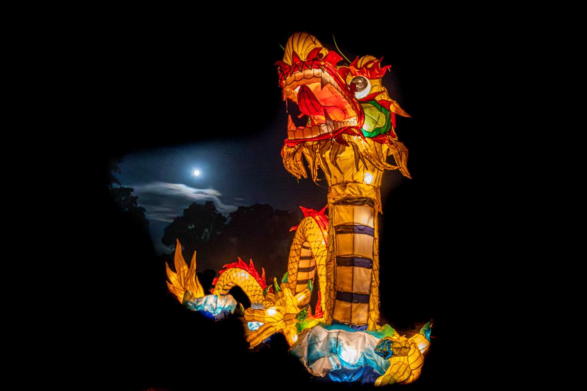 Cameron Young;Year of the Dragon at the Auckland Lantern Festival;The magic of the Auckland Lantern Festival returns after a long break.